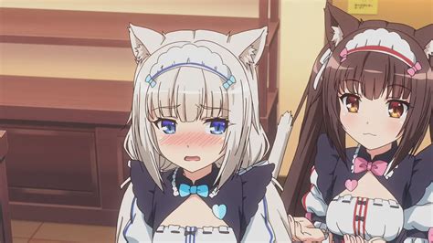 nekopara h|Are all the h